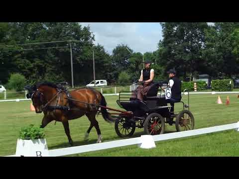 Fahrtunier Dörenthe 12.6.2022