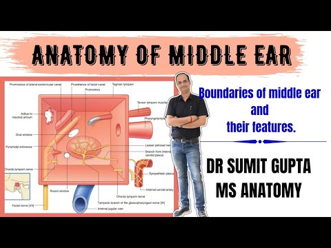 MIDDLE EAR ANATOMY : BOUNDARIES || MEDIAL WALL ||