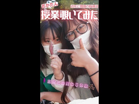 【おかたん】授業覗いてみた【「幼児と環境」の指導法】 #Shorts