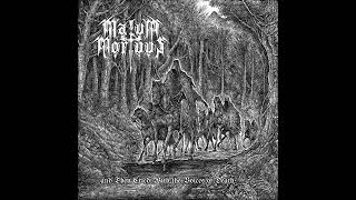 Elficidium (Nazgûl cover)
