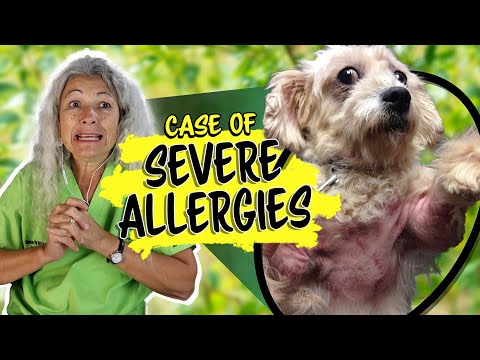 The Healing Journey of Myra: A Story of Resilience and Joy