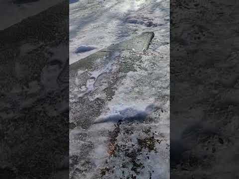 Walk with me. I shall go on live next time. #nature #sunshine #freshair #exercise  Thank the Lord 