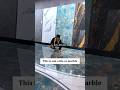 UV Marble Sheet Starts From 1199 Wallpaper Designs For House Wallpaper Home Shorts