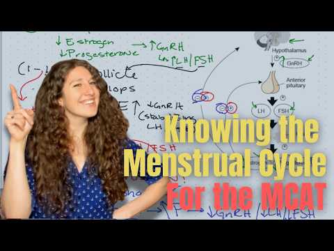 MCAT Biology: Female Reproductive Cycle Essentials