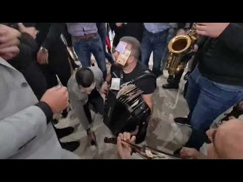 Borko Radivojevic - Punoletstvo Velimirovic