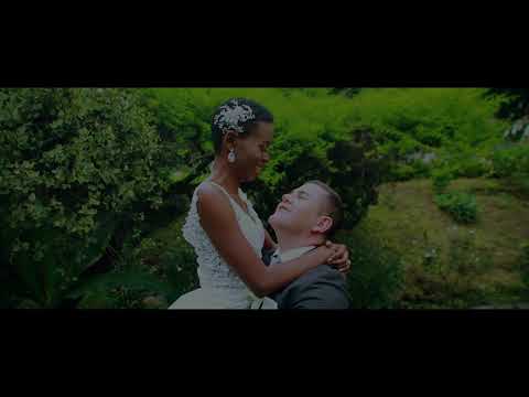 WT Cinema Video