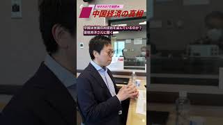 中国は米国のAI技術を盗んでいるのか？　是枝邦洋さんに聞く〜podcast「中国経済の真相」4月30日公開の予告編です　#中国経済 #中国 #是枝邦洋 #髙橋哲史