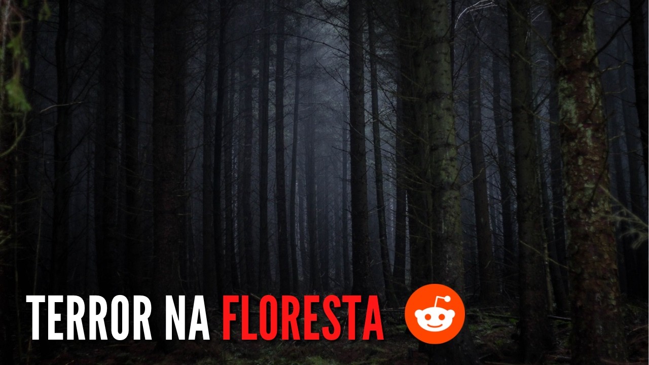 3 HISTÓRIAS DE TERROR REAIS - MEIO DO MATO - Relatos de Horror do Reddit.