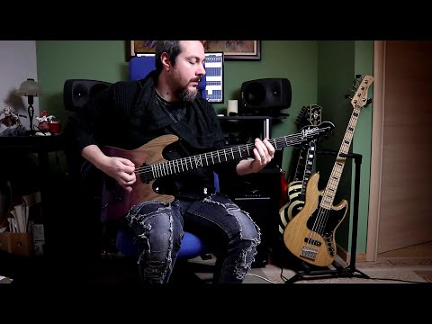 Chapman Baritone ML1 Demo Song