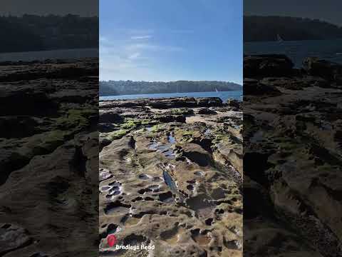 [short] Bradleys Head in 60 Seconds | Sydney Harbour Magic