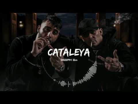 [FREE] Samra x Capital Bra Type Street Rap Beat - "Cataleya" (prod. by Baly x 808Shem)