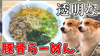 【猫ミーム】島根県のイオン松江でしか食べられない味付け肉ラーメン！