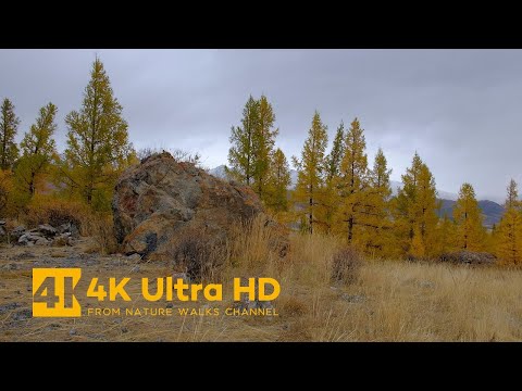 A Small Autumn Walk in the Mountains