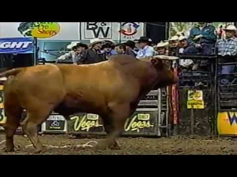 Little Yellow Jacket bucks Owen Washburn - 04 PBR Nashville