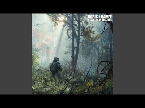 Stalkers in the Zone