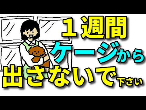 親を失った生まれたばかりの子犬の世話をする方法