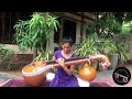 Mudhan Mudhalil Paarthen Veena Cover