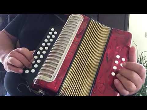 HOHNER Erica C G Knopf Akkordeon Gebraucht mit Hohner Koffer, Video, Klangprobe