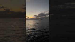 Beautiful sunset 😌#shorts #youtubeshorts #youtube #cruise #travel #holiday @holidayhighlight