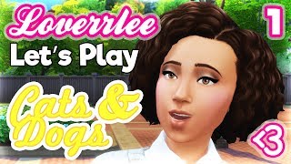 Cats & Dogs #1: Beautiful Brindleton Bay!