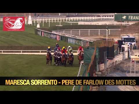 Maresca Sorrento - Farlow des Mottes, Clermont-Tonnerre - 2014