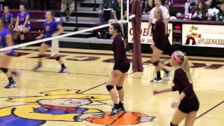 preview picture of video 'Cobden HS Volleyball Sectional Semifinals'