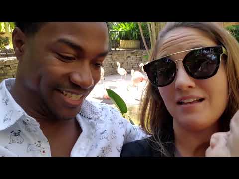 Jeannot Journey Goes To Saint Pete, FL