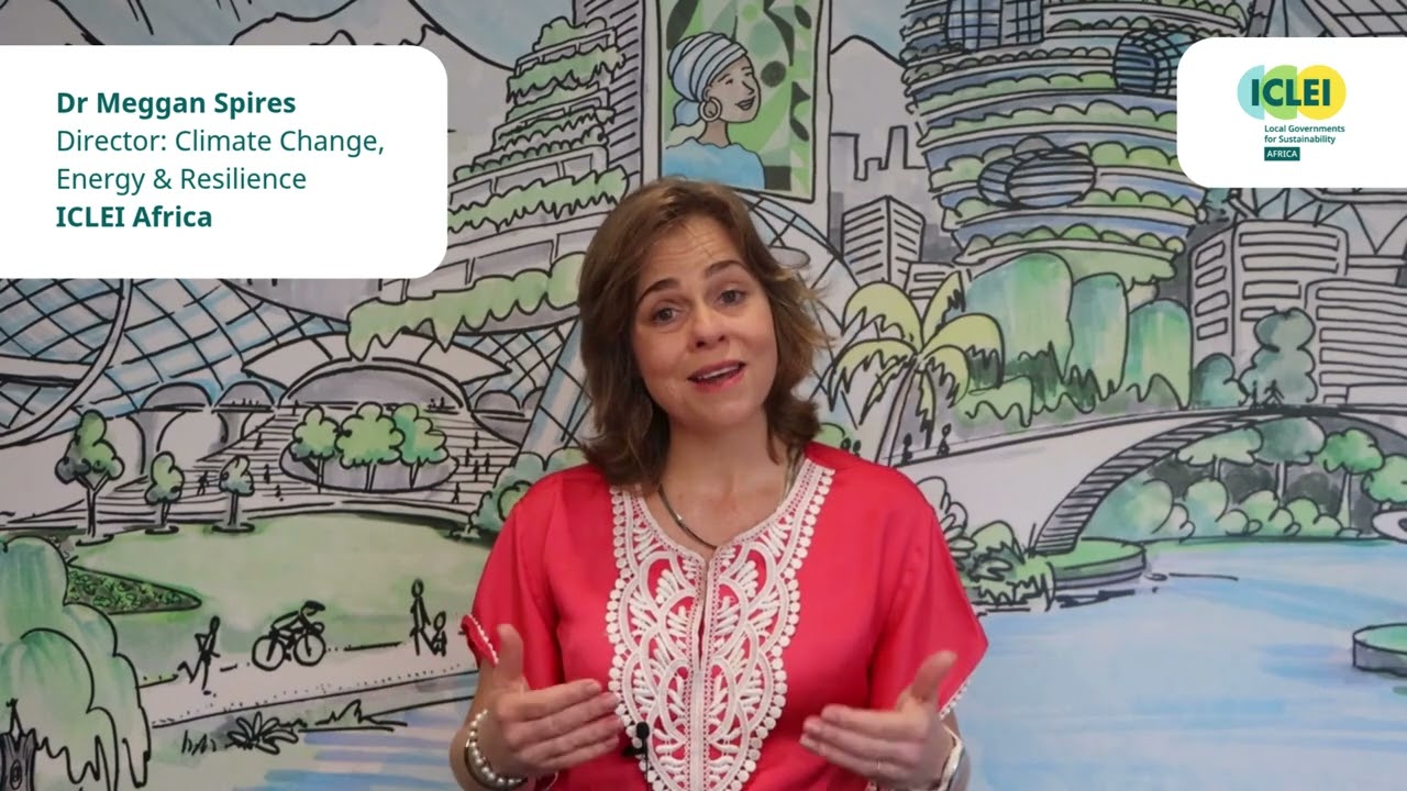 COP30: Implementation requires finance