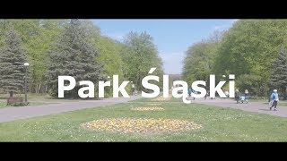 Park Śląski Chorzów 2019 . Kocioł Czarownic , Czeskie Piwo i przejażdżka ELKA .Vlog nie Pilkarski #2