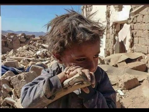 الصحفي والحقوقي همدان العليي يفضح الحوثيين في مجلس حقوق الإنسان بجنيف