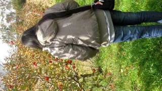 preview picture of video 'Apple Picking'