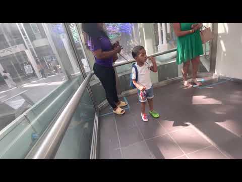 Low On Oil! LOUD and Huge Montgomery Hydraulic Elevator