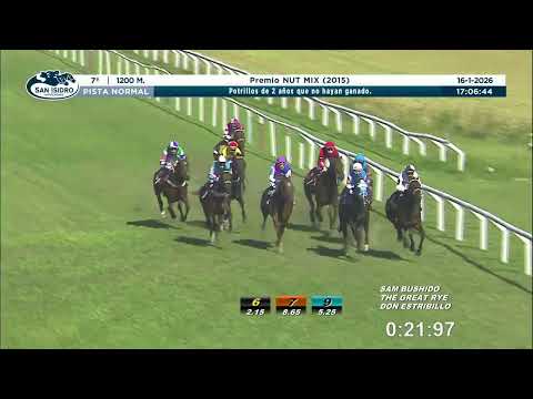 THE GREAT TERMS - San Isidro - 16/1/2026