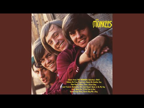 (Theme From) The Monkees [Original Stereo Version] - 2006 Remaster のサムネイル
