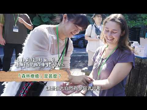 森林療癒大開箱 - 體驗被大自然洗滌的瞬間 | 內洞森林遊樂區