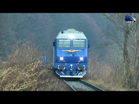 Horns Show By Isabella~GM 64-0950-7 in Defileul Crisului Repede Canyon - 31 December 2017