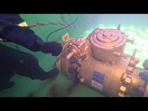 Valve Final Version Reduced Size Sd 480p