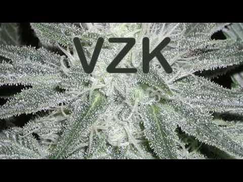 VzK-Справи трави(2008)