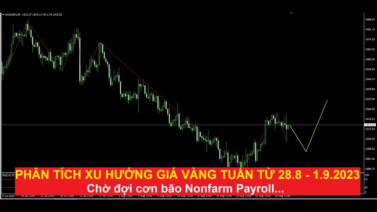 Video phân tích xu hướng giá vàng tuần từ ngày 28.8 - 1.9.2023