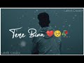 Tere Bina Guzara Ae Dil Hai Mushkil Whatsapp Status Latest Creator