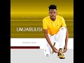 Mjabulisi Majitami