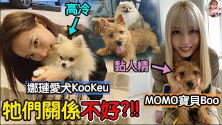 Twice【中字】”娜璉：KooKeu和Boo的關係不太好！” Boo呀你太皮了 把你哥嚇到了啦！