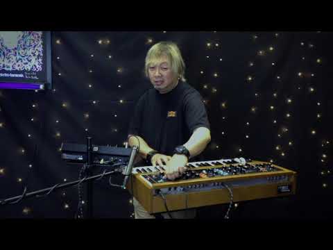 Behringer VS Moog | Model D's | (£300 VS £3000)