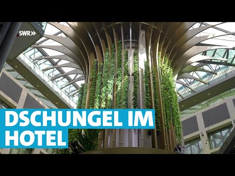 Spektakulär! 2000 Pflanzen ersetzen zerstörtes Luxushotel-Aquarium