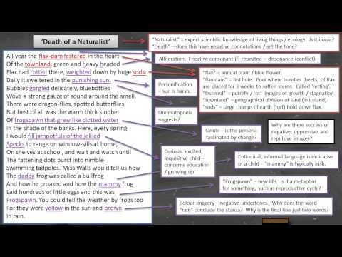 Death of a naturalist critical essay