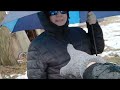 Open video