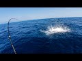 Deep Sea Fishing INSANITY 30 Miles Out CATCH CLEAN COOK