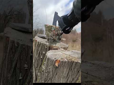 Die Campaxt Tommy 🪓