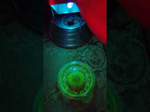 Uranium Glass and 1940s Sun-Kraft UV Solar Ray Lamp Medical Quack Device