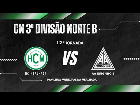CAMPEONATO NACIONAL 3ª DIVISÃO - ZONA NORTE B (HCM vs AAE (B))